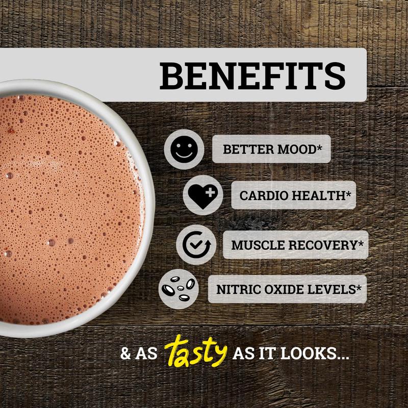 Cocoa Flavanoids